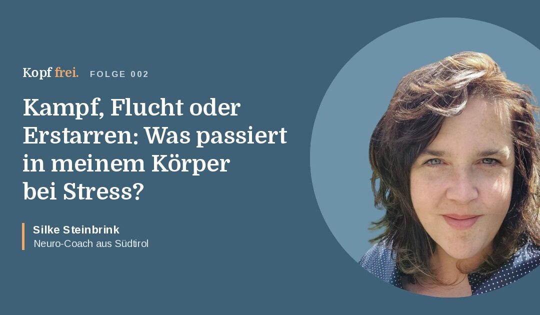 Kampf, Flucht oder Erstarren: Was passiert in meinem Körper bei Stress?